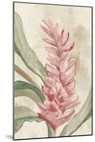 Pink Ginger II-Jacob Q-Mounted Art Print