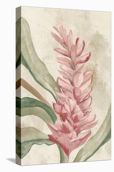 Pink Ginger II-Jacob Q-Stretched Canvas