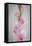 Pink Gladiola II-Kathy Mahan-Framed Stretched Canvas