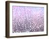 Pink Glitter-Monika Burkhart-Framed Photographic Print