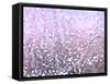 Pink Glitter-Monika Burkhart-Framed Stretched Canvas