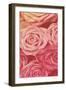 Pink Gold Roses-Milli Villa-Framed Art Print