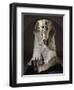 Pink Granite Great Sphinx from Tanis-null-Framed Giclee Print