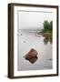 Pink Granite In Jordan Pond at Acadia-Steve Gadomski-Framed Photographic Print