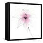 Pink Graphite Flower V-Avery Tillmon-Framed Stretched Canvas