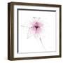 Pink Graphite Flower V-Avery Tillmon-Framed Art Print