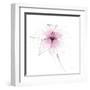 Pink Graphite Flower V-Avery Tillmon-Framed Art Print