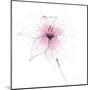 Pink Graphite Flower V-Avery Tillmon-Mounted Art Print