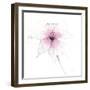 Pink Graphite Flower V-Avery Tillmon-Framed Art Print