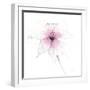 Pink Graphite Flower V-Avery Tillmon-Framed Art Print