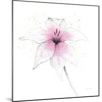 Pink Graphite Flower V-Avery Tillmon-Mounted Art Print