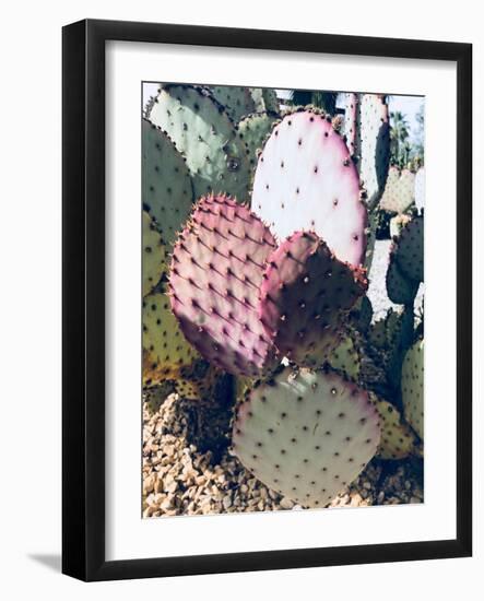 Pink Green Cactus III-Irena Orlov-Framed Photographic Print