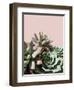 Pink Green Succulents-Urban Epiphany-Framed Photographic Print