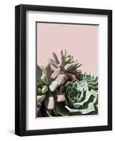 Pink Green Succulents-Urban Epiphany-Framed Photographic Print