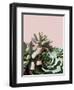 Pink Green Succulents-Urban Epiphany-Framed Photographic Print