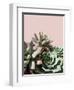 Pink Green Succulents-Urban Epiphany-Framed Photographic Print