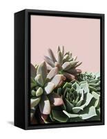 Pink Green Succulents-Urban Epiphany-Framed Stretched Canvas