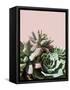 Pink Green Succulents-Urban Epiphany-Framed Stretched Canvas