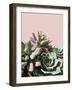 Pink Green Succulents-Urban Epiphany-Framed Photographic Print