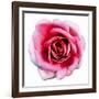 Pink Harmony II-James Guilliam-Framed Giclee Print