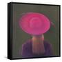 Pink Hat, 2014-Lincoln Seligman-Framed Stretched Canvas