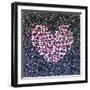 Pink Heart-Lisa Frances Judd-Framed Art Print