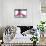Pink Heels-Erin Berzel-Framed Stretched Canvas displayed on a wall