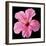 Pink Hibiscus-Christine Zalewski-Framed Art Print