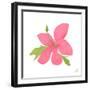 Pink Hibiscus-Nola James-Framed Art Print