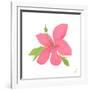 Pink Hibiscus-Nola James-Framed Art Print