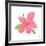 Pink Hibiscus-Nola James-Framed Art Print