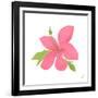 Pink Hibiscus-Nola James-Framed Art Print