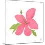 Pink Hibiscus-Nola James-Mounted Art Print