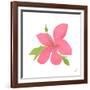 Pink Hibiscus-Nola James-Framed Art Print