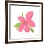 Pink Hibiscus-Nola James-Framed Art Print