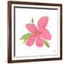 Pink Hibiscus-Nola James-Framed Art Print