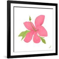 Pink Hibiscus-Nola James-Framed Art Print