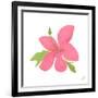 Pink Hibiscus-Nola James-Framed Art Print