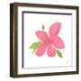 Pink Hibiscus-Nola James-Framed Art Print