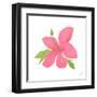 Pink Hibiscus-Nola James-Framed Art Print