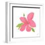 Pink Hibiscus-Nola James-Framed Art Print