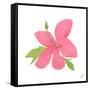 Pink Hibiscus-Nola James-Framed Stretched Canvas