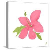 Pink Hibiscus-Nola James-Stretched Canvas