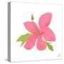 Pink Hibiscus-Nola James-Stretched Canvas