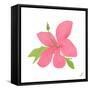 Pink Hibiscus-Nola James-Framed Stretched Canvas