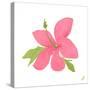 Pink Hibiscus-Nola James-Stretched Canvas