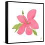 Pink Hibiscus-Nola James-Framed Stretched Canvas