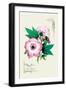 Pink Hibiscus-null-Framed Art Print
