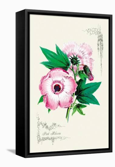 Pink Hibiscus-null-Framed Stretched Canvas