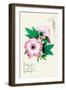 Pink Hibiscus-null-Framed Art Print